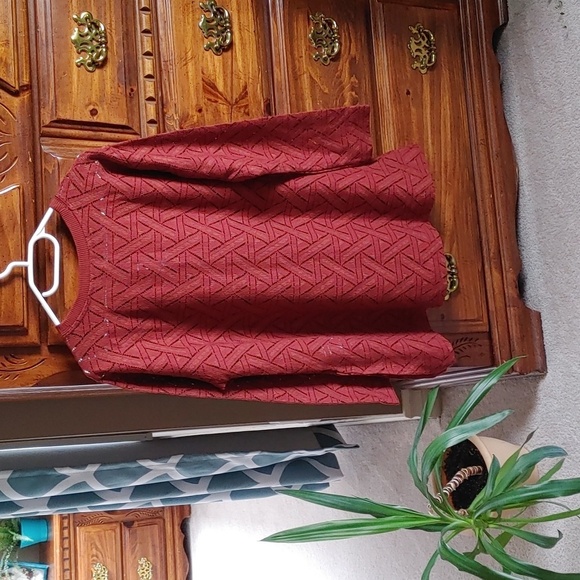 🍁NWT Women's Banana Republic Rust Sweater - Picture 2 of 8